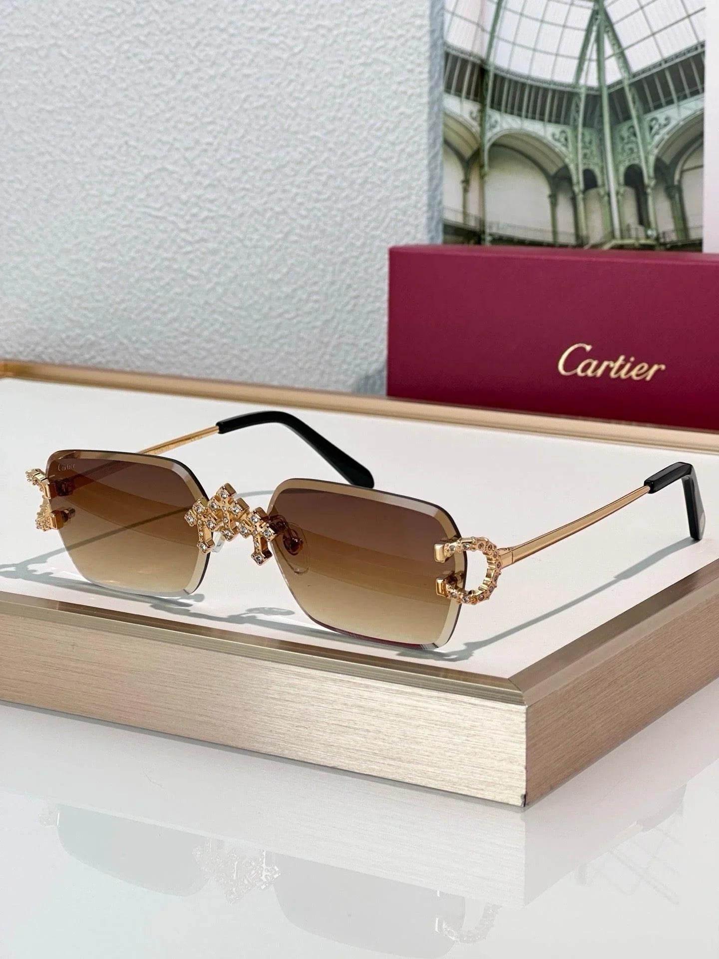 Cartier C-decor PREMIÈRE DE CARTIER CT0679 Diamond Sunglasses 🐆