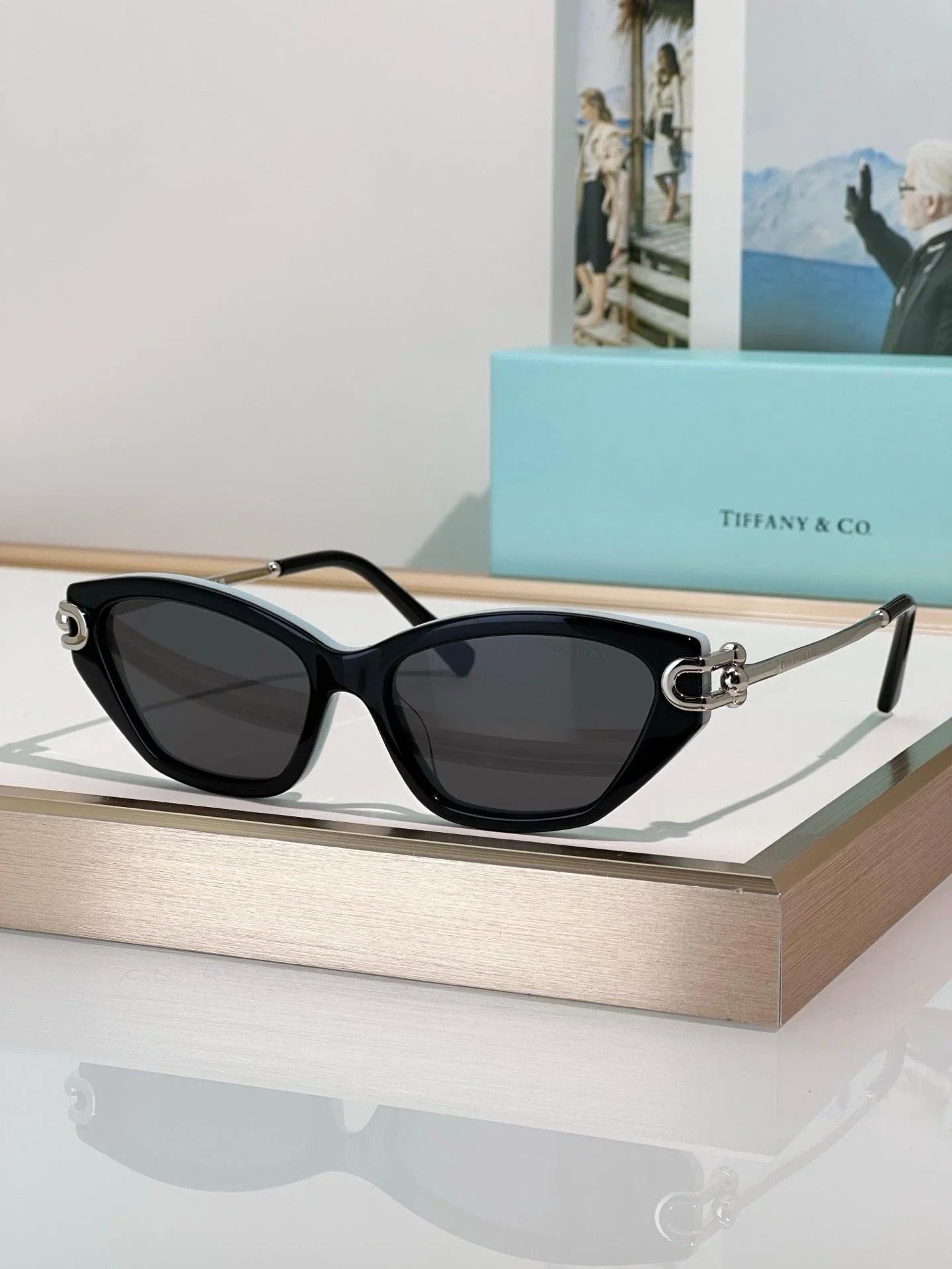 TIFFANY & CO TF4231U Women's Sunglasses ✨
