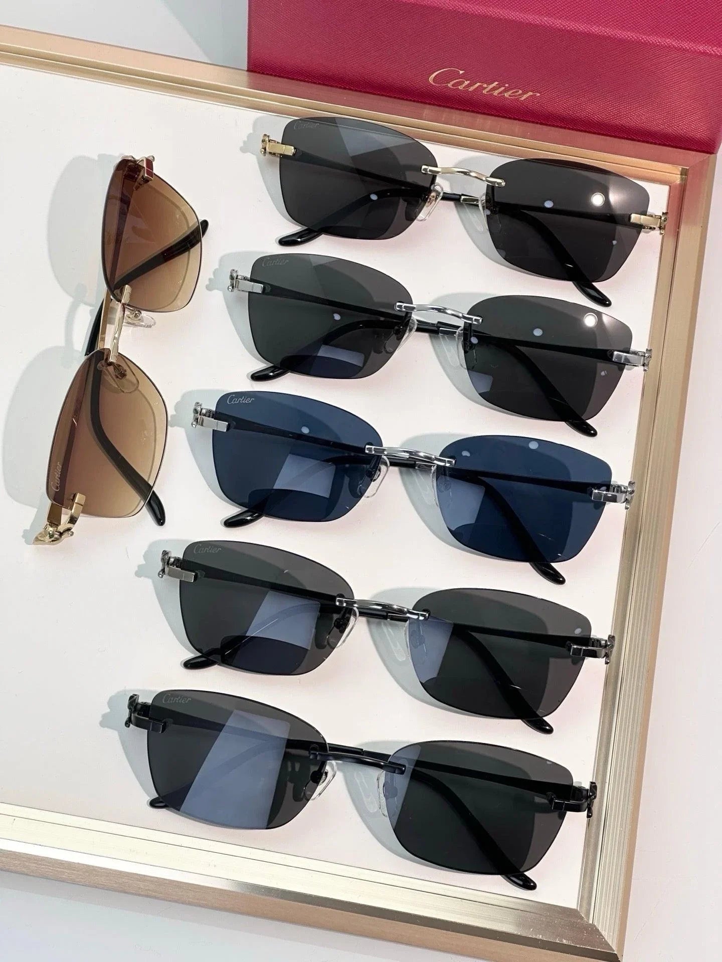 Cartier Exception CT0522O Sunglasses 🐆