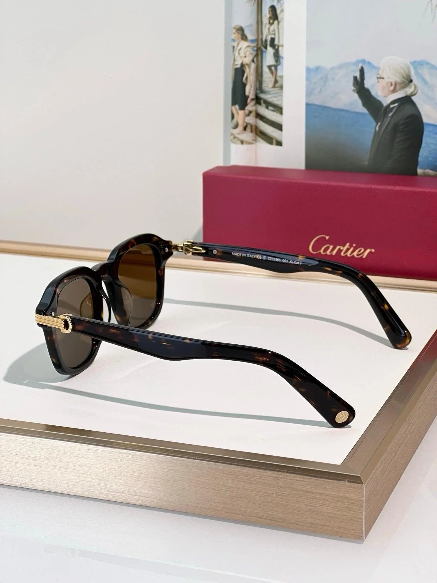 Cartier CT0536S 002 Sunglasses 🐆
