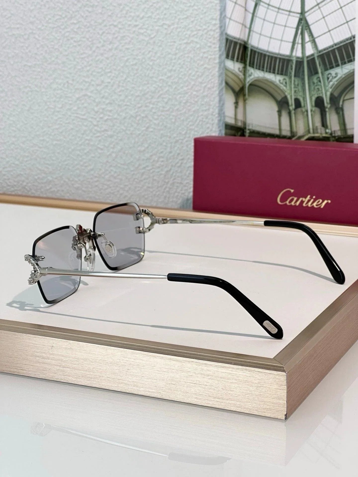 Cartier C-decor PREMIÈRE DE CARTIER CT0679 Diamond Sunglasses 🐆