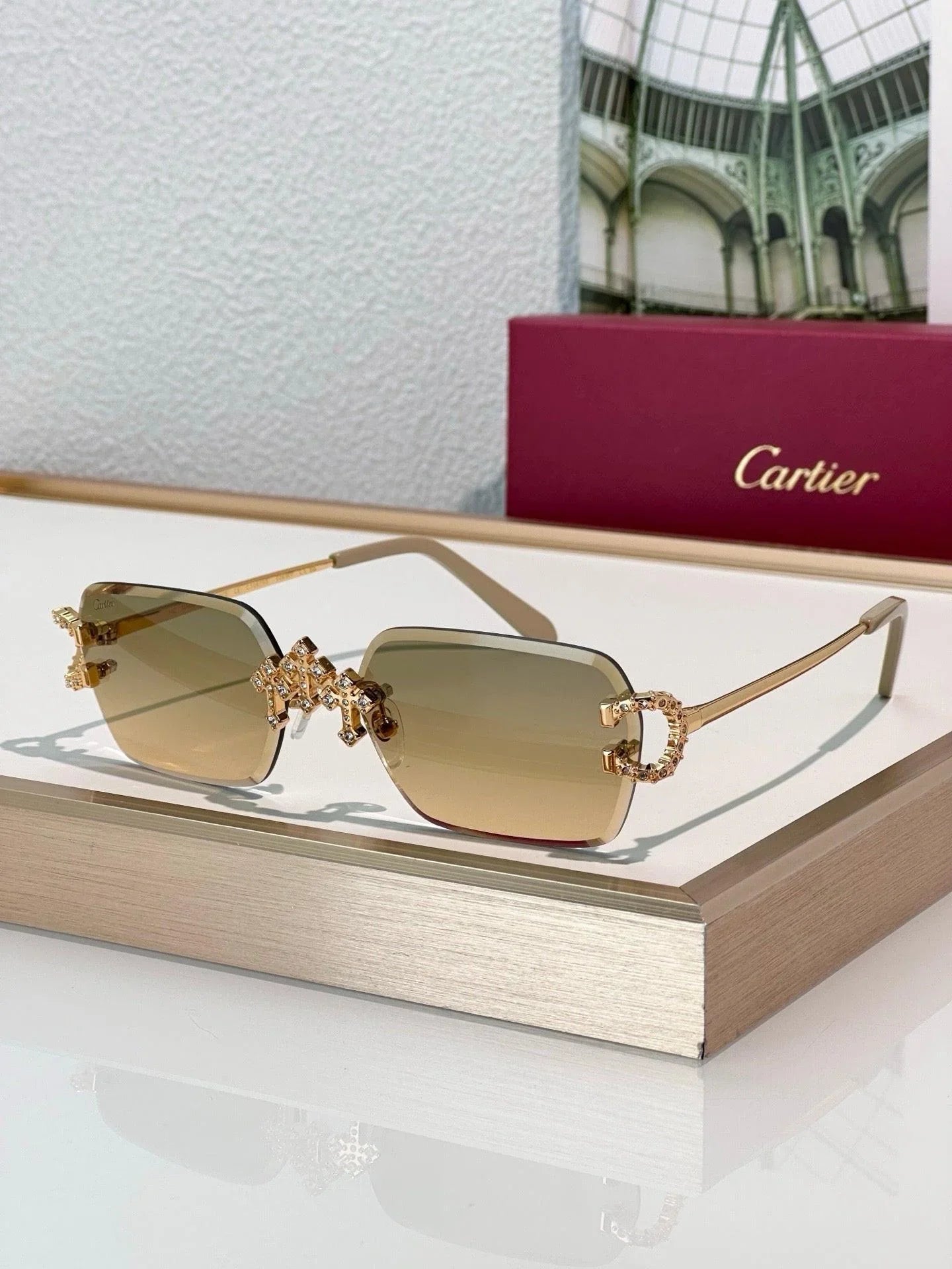 Cartier C-decor PREMIÈRE DE CARTIER CT0679 Diamond Sunglasses 🐆